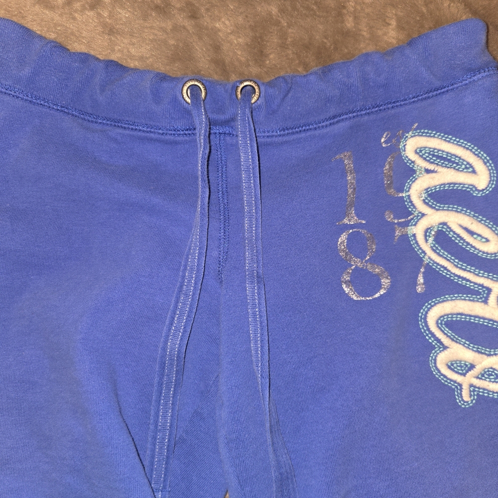 Blue Drawstring Shorts with Embroidered Side Script - Picture 2 of 6